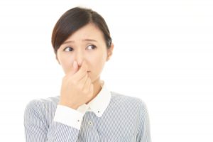 食洗機から臭いがするのは何故?理由と対策をご紹介